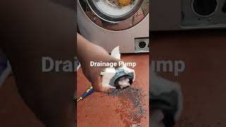 Cleaning a washing machine drainage pump #shorts
