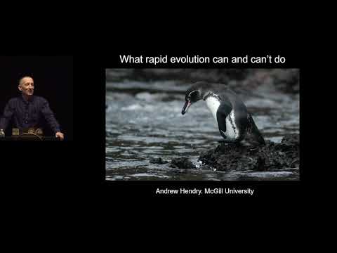 What Rapid Evolution Can and Can't Do (For Biodiversity, Ecosystems, and People)