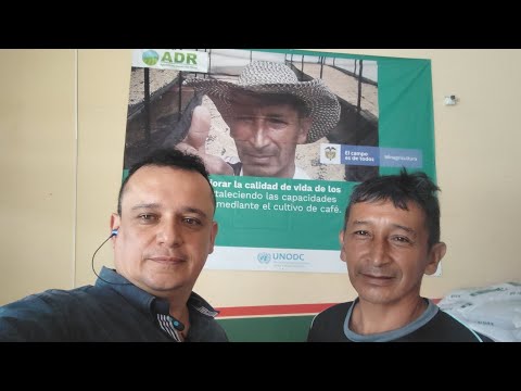 Café Alfa de Teruel Huila 