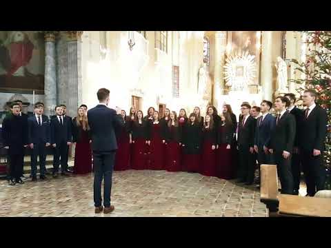 Liceul Teologic Adventist din Bucuresti - Concert de Craciun Basilica Maria Radna .3