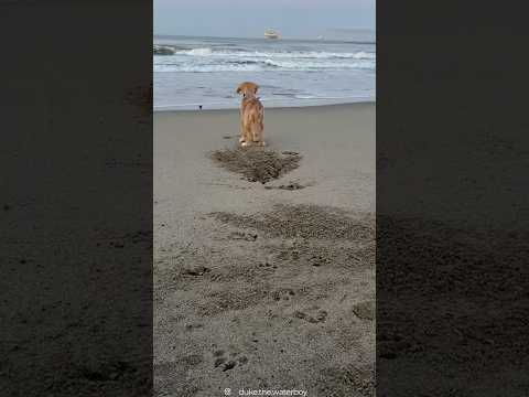 Big bro came to save the day 🥹❤️