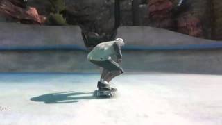 Worlds Stupidest Best Skate 3 Trick on Hardcore?