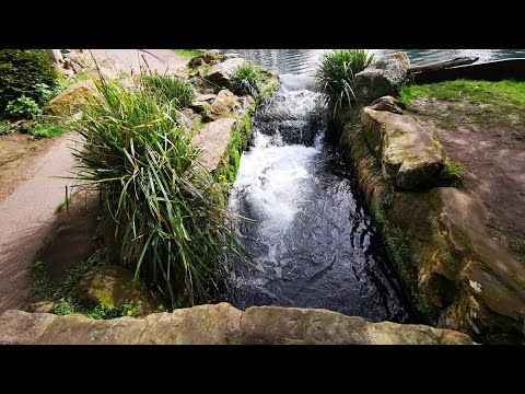 relaxing Natural sound of water fall maditation , deep sleep ||  ASMR