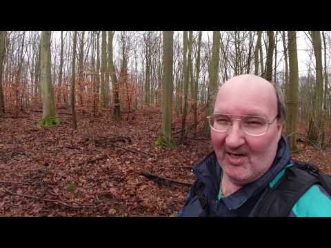 MongoTV_4203 - UPLOADET OVER 11.000 VIDEO TIL MONGO TV