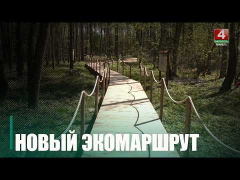Новы экамаршрут «Сцежка лясных цудаў» з'явіўся пад Калінкавічамі