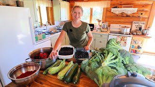 Preserving 100+ lbs of Garden & Wild Harvest in One Afternoon | Canning and Freezing