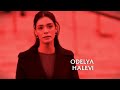 Law Order Fanmade Intro