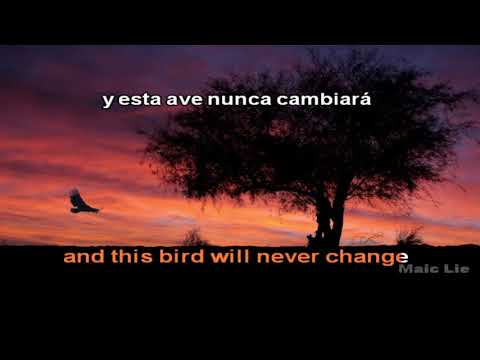 Will To Power - Baby I Love Your Way (subtitulado al español e ingles)