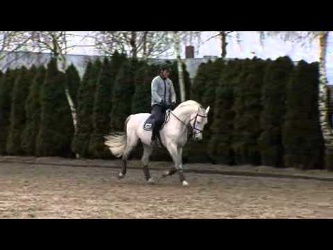 Coupe de Coeur v. Calido I-Lincoln