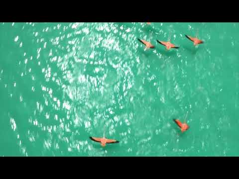 Aerial Shooting
