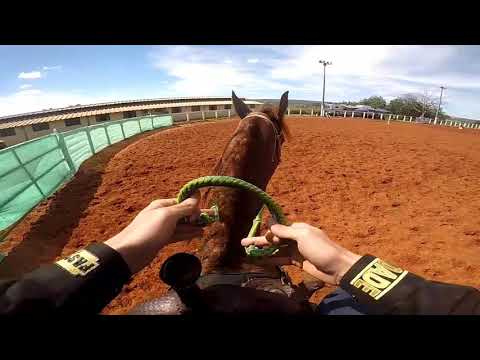 《Baker ta Fame》 Três Tambores/Barrel Racing BSB{Gopro Hero 5}