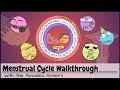 Menstrual Cycle Walkthrough Phases Hormonal Regulation