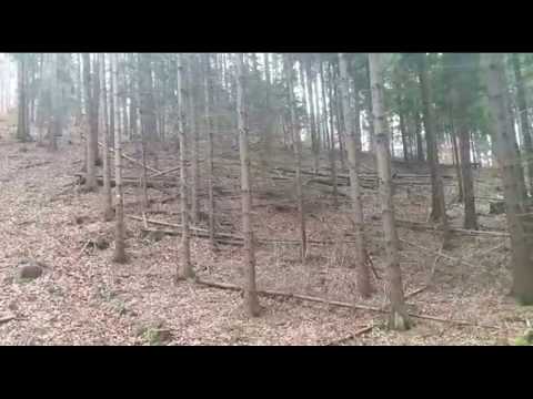 Traumdrückjagd Teil 2