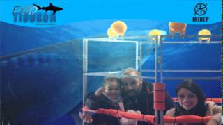 DIA 2 Expo Tiburon277