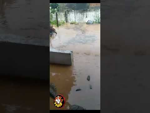 MORADOR TEM A CASA INVADIDA POR ÁGUA DA CHUVA APÓS PAVIMENTAÇÃO DO GOVERNO AYRES SCORSATTO 22.