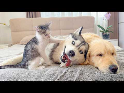 YouTube 썸네일