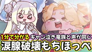 【トリッカル】1分で分かるどっかのギャン泣き竜族と声が同じ涙腺破壊もちほっぺ・ピラ解説【もちもちほっぺ大作戦】【trickcal】【트릭컬】