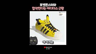 포켓몬과 합작한다는 아디다스?