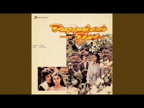 Neethane Enthan Pon Vasantham