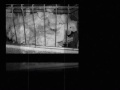 Rage Against The Machine - Beautiful World / Subtitulos español - heinvortex Rage Against The Machine - Beautiful World / Subtitulos español