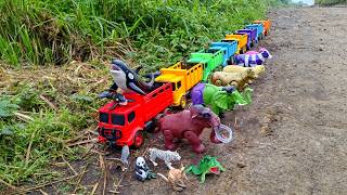 Download lagu Wow‼️Shark Orca Colorful Cow Elephant Mammoth Goat Panda Tiger Wolf transported by Truck mp3