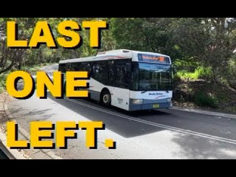Maianbar Bundeena - The last independent bus in the Shire