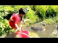Fishing Video Best Hand Fishing By Village Beautiful Wife