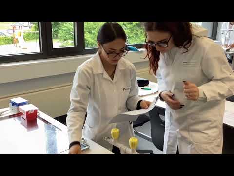 Returning to Kilian-von-Steiner-Schule Laupheim for a new Erasmus experience.