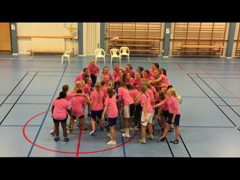 Västerås Basket - Rosa Bandet dans!