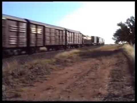 8171+8144 Between Wagga Wagga and Junee (04/92)
