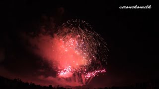 preview picture of video '2014年 赤川花火大会 デザイン花火「グラナダ～太陽の歌声～」Design Fireworks in Akagawa Fireworks 2014 in japan.'