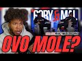 Was OVO Compromised DJ Hed Mal Discuss The Mole Theory Around Drake REACTION