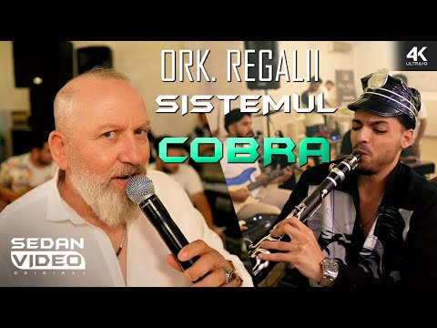 ⚜️ORK. REGALII ✅ SUNAY SES ❌ SEDAN KING✅ SISTEMUL COBRA 2️⃣0️⃣2️⃣5️⃣ ♫█▬█ █ ▀█▀ ♫ [OFFICIAL VIDEO]