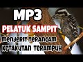 Mp3 Pikat Burung Pelatuk Sampit Kejepit