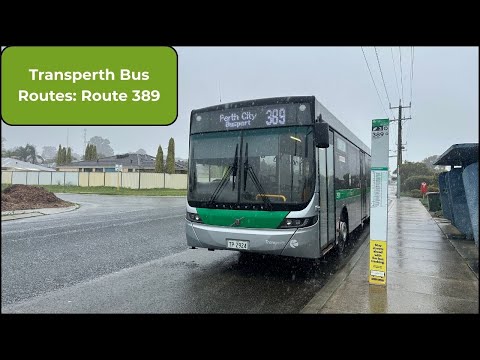 Transperth Bus Routes: Route 389