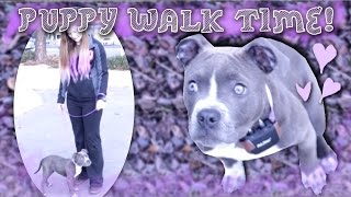 PUPPY DOG VLOG! Featuring Gem the Blue Pit Bull Pup!