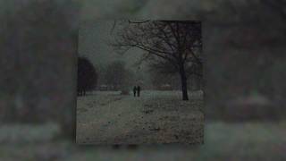 Willix - let me rot in your arms [1 Hour Loop]