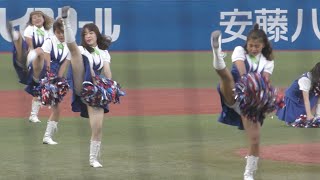 東京ヤクルトスワローズチアリーダー　Passion 2020