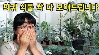 희귀 식물을 구하고 싶다면 중부권에서는 이 곳을 꼭 가보세요.