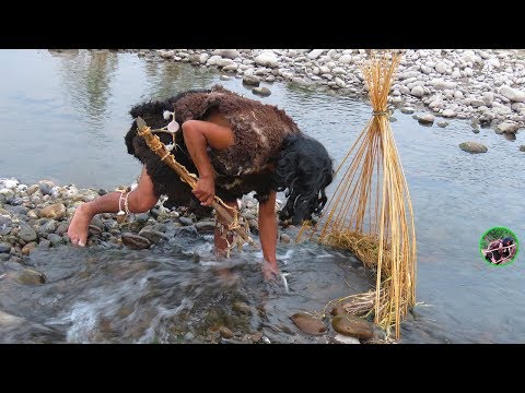 Primitive New Huts: Best Fish Trap Primitive Survival - Trapped Fish