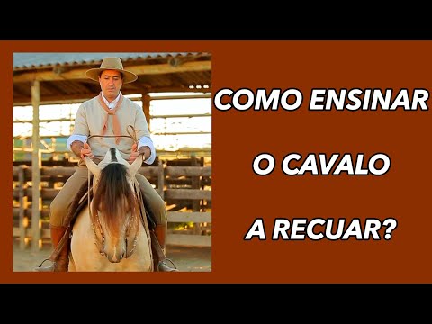 Zeca Macedo TEACH the horse to BACKWARDS?