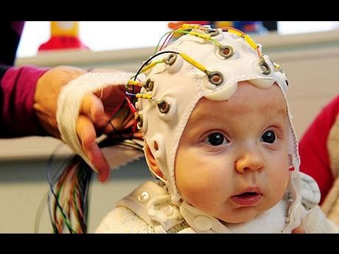 The Secret Life of The Baby's Brain