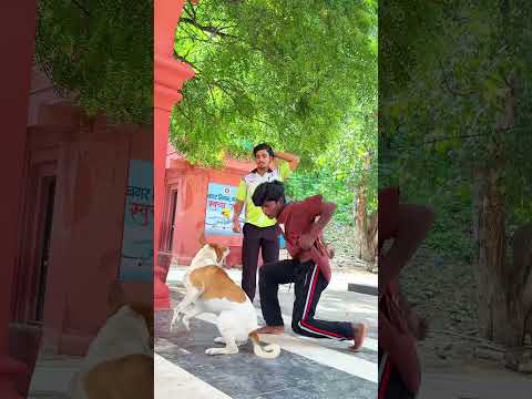 Dog Performs Amazing Flip🐶🤸‍♂️ #DogFlip #DogTrick #AgilityDog #FunnyDogs #DogLovers #Pets