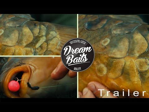 Dreambaits präsentiert: Stefan Wirtz - Flexibel auf Karpfen im Winter