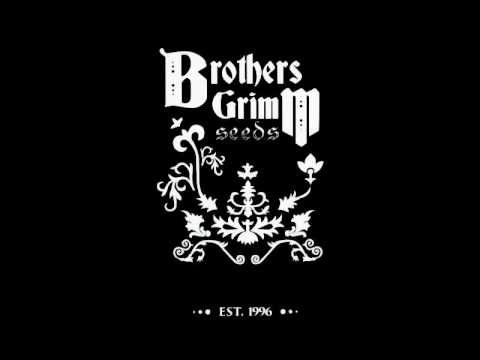 Episode 1 - Duke Diamond VA of Brothers Grimm - 04/08/16