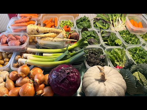 Spring's Bounty: First Weekly Harvest from the Homestead