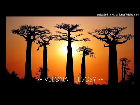 -- VELONA    JESOSY --