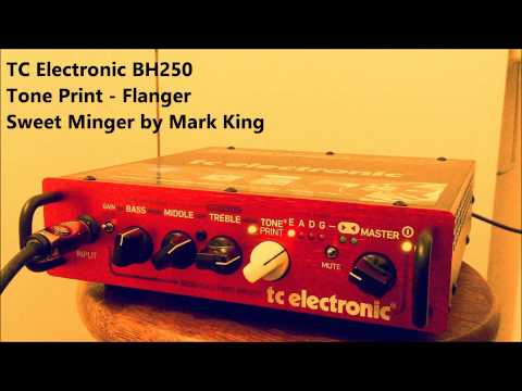 TC Electronic BH250 Sweet Minger by Mark King