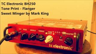 TC Electronic BH250 Sweet Minger by Mark King