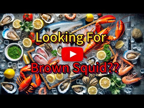 Looking for Brown Squid ? C H Seah Fishery | Seafood Supplier Selangor & Kuala Lumpur 